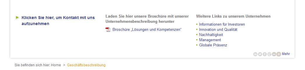 Guter Ansatz, aber hier ist die Positionierung falsch. Die weiteren Infos neutralisieren die wichtigen Konversionsziele wie hier das Kontaktformular.